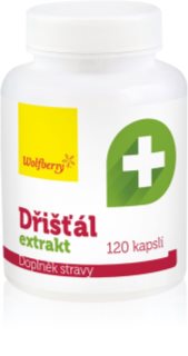 Wolfberry Dřišťál extrakt kapsle pro udržení normální hladiny cholesterolu 120 cps