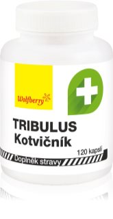 Wolfberry Tribulus Terrestris Kotvičník zemní kapsle pro zdravou prostatu a podporu potence 120 cps