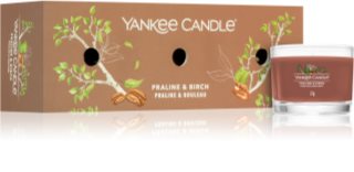 Yankee Candle Praline & Birch coffret 3x37 g