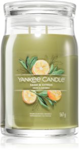Yankee Candle Sage & Citrus vonná svíčka Signature