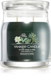 Yankee Candle Silver Sage & Pine mirisna svijeća Signature