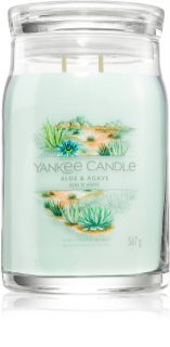 Yankee Candle Aloe & Agave Duftkerze 567 g