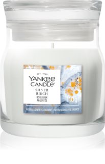 Yankee Candle Silver Birch bougie parfumée Signature 110 g
