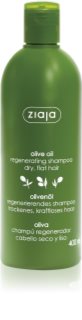 Ziaja Olive Oil regeneráló sampon száraz hajra 400 ml