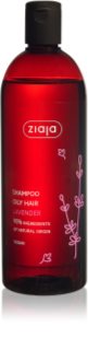 Ziaja Family Shampoo champô para cabelo oleoso 500 ml