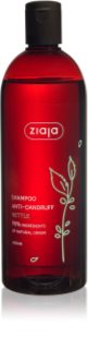 Ziaja Family Shampoo шампунь проти лупи 500 мл