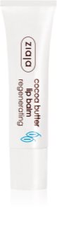 Ziaja Cocoa Butter Lip Balm with cocoa butter 10 ml
