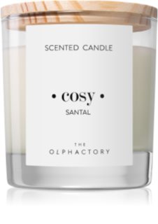 Ambientair Olphactory Santal aроматична свічка (Cosy)