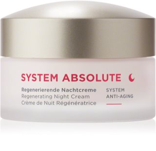 Annemarie Börlind  SYSTEM ABSOLUTE Regenerating Night Cream with Anti-Ageing Effect