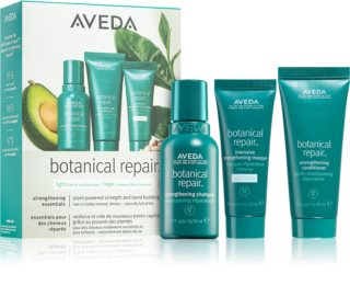 Aveda Botanical Repair™ Light Discovery Set coffret cadeau pour cheveux
