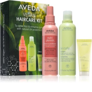 Aveda Haircare Kit
