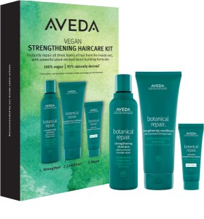 Aveda Botanical Repair™ Strengthening Haircare Set