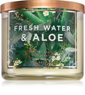Bath & Body Works Fresh Water & Aloe ароматическая свеча