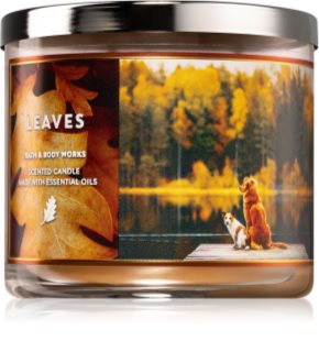 Bath & Body Works Leaves vela perfumada IV.