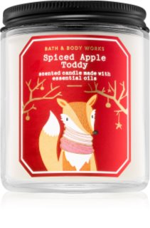 Bath & Body Works Spiced Apple Toddy