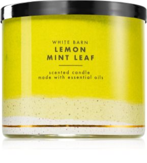 Bath & Body Works Lemon Mint Leaf