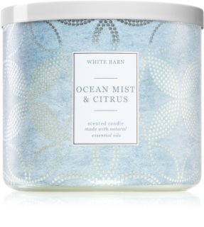 Bath & Body Works Ocean Mist & Citrus vela perfumada