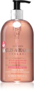 Baylis & Harding Wild Rhubarb & Pink Pepper Hand Soap With Antibacterial Ingredients