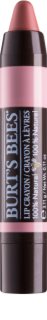 Burt’s Bees Lip Crayon batom em lápis com efeito matificante