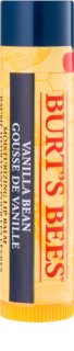 Burt’s Bees Lip Care bálsamo hidratante para lábios com baunilha