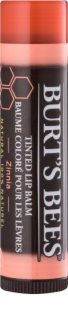 Burt’s Bees Tinted Lip Balm
