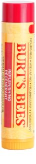 Burt’s Bees Lip Care
