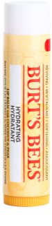 Burt’s Bees Lip Care bálsamo hidratante para lábios