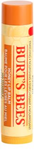 Burt’s Bees Lip Care
