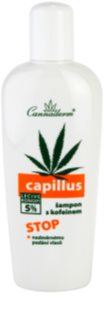 Cannaderm Capillus Caffeine shampoo šampon proti izpadanju las s konopljinim oljem