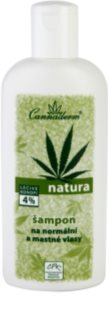 Cannaderm Natura 24 Shampoo for Normal and Oily Hair šampon s konopljinim oljem