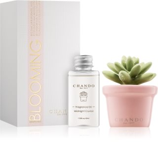 Chando Blooming Midnight Crystal aroma difusor com recarga I.