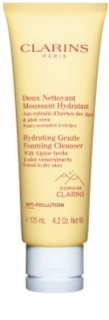 Clarins CL Cleansing Hydrating Gentle Foaming Cleanser