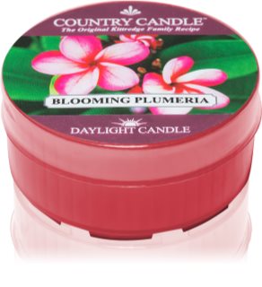 Country Candle Blooming Plumeria duft-teelicht