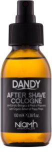 DANDY After Shave lozione after-shave