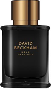 David Beckham Bold Instinct toaletní voda pro muže