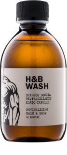 Dear Beard Shampoo H & B Wash champô e gel de duche 2 em 1