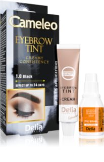 Delia Cosmetics Cameleo Professionell färgande ögonbrynskräm  Ammoniak-fri