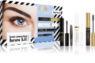 Delia Cosmetics Eyebrow Expert Light Black