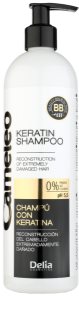 Delia Cosmetics Cameleo BB champô de queratina para cabelo danificado
