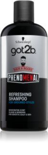 got2b Phenomenal shampoing rafraîchissant cheveux et barbe