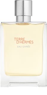 HERMÈS Terre d’Hermès Eau Givrée Eau de Parfum til mænd