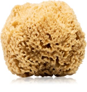 Huygens Natural Mediterranean Sea Sponge burete natural corp si fata