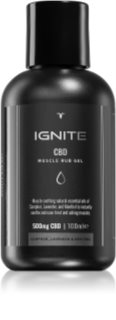 Ignite CBD Camphor, Lavender & Menthol 500mg Massage Gel For Muscles And Joints