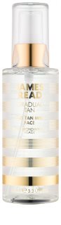 James Read Gradual Tan H2O Tan Mist magla za samotamnjenje za lice