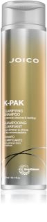 Joico K-PAK Clarifying Purifying Shampoo for All Hair Types