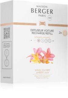 Maison Berger Paris Car Aroma Energy deodorante per auto clip (Sparkling  Zest)