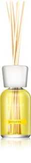 Millefiori Natural Pompelmo ароматический диффузор с наполнителем