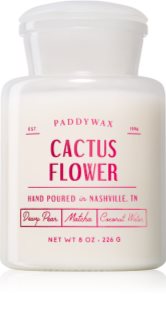 Paddywax Farmhouse Cactus Flower dišeča sveča