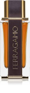 Ferragamo Ferragamo Spicy Leather Eau de Parfum para hombre 100 ml