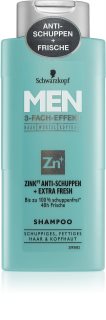 Schwarzkopf Men Zinc+ hydratační šampon proti lupům pro mastné vlasy a vlasovou pokožku